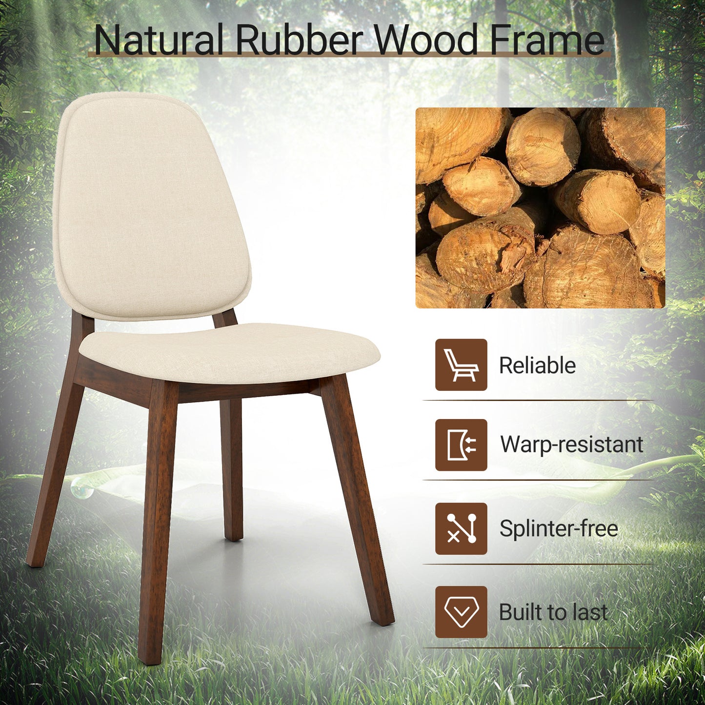 Set of 2 Modern Dining Chairs