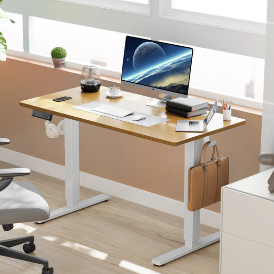 Electric Height Adjustable Ergonomic Standing Computer Desk