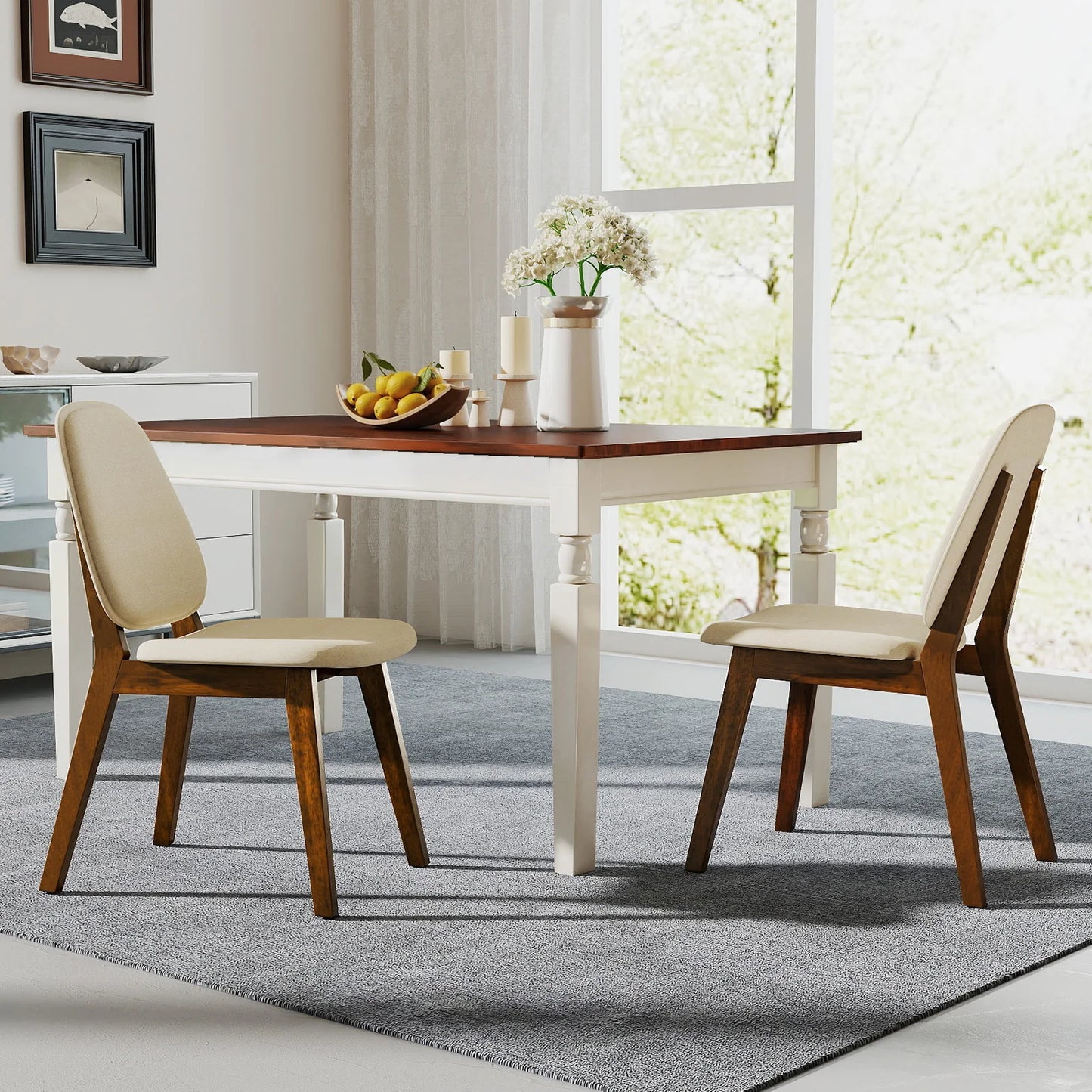 Set of 2 Modern Dining Chairs